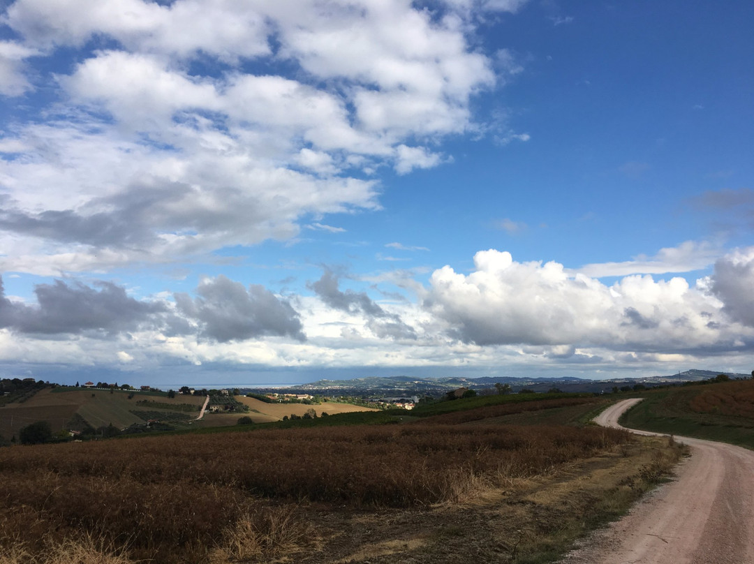 Ale Bike景点图片