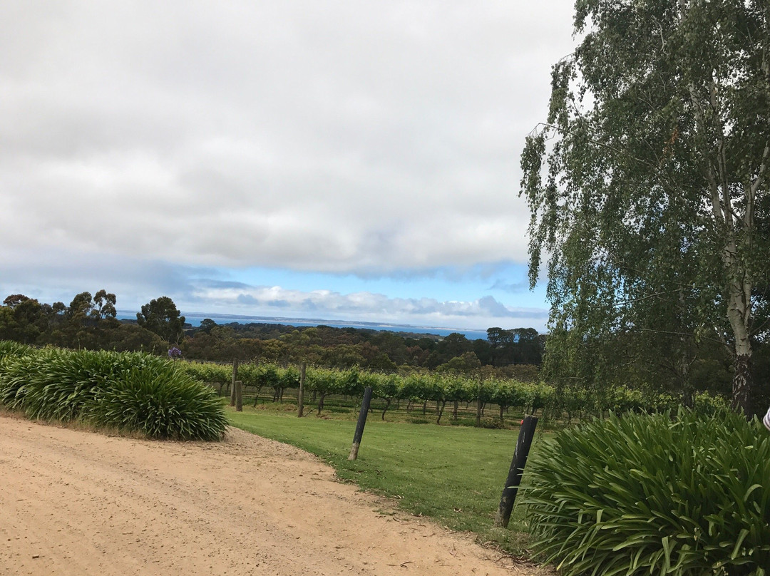 Estate Wine Tours景点图片