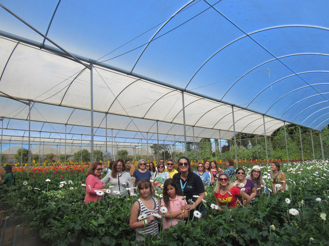 Reijers Produção de Rosas-Sao Benedito必去景点