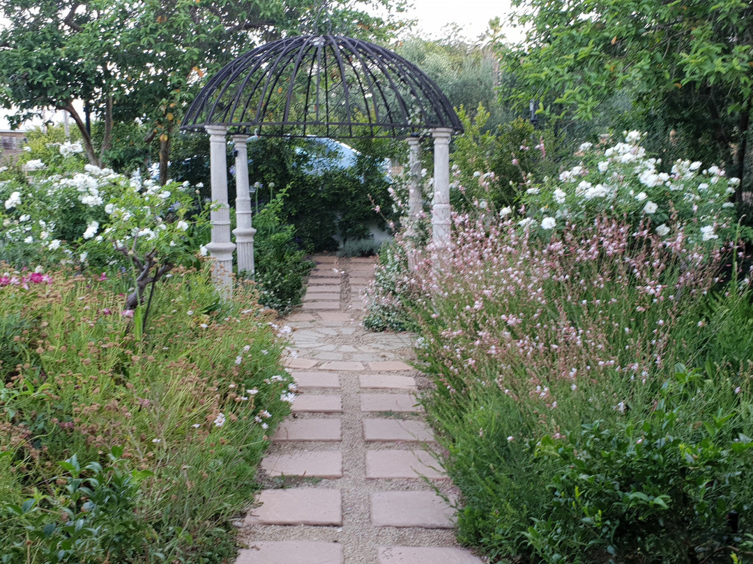 Shades of Provence主图