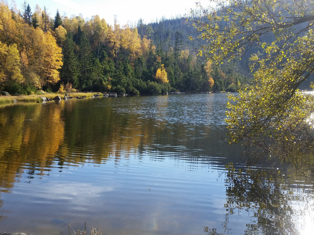 Plešné jezero (Plesne Lake)景点图片