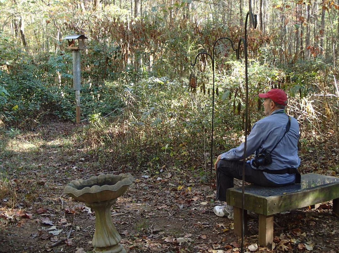 Clyde Shepherd Nature Preserve-迪凯特必去景点