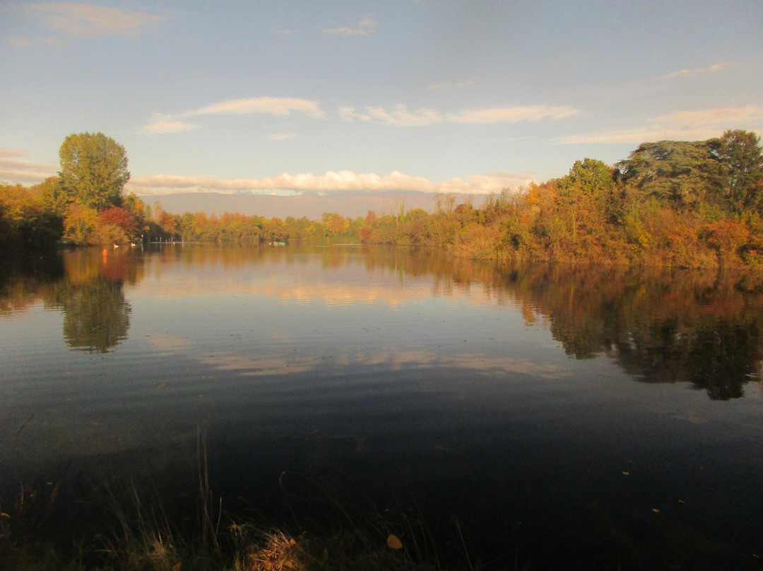 Lago Burida景点图片