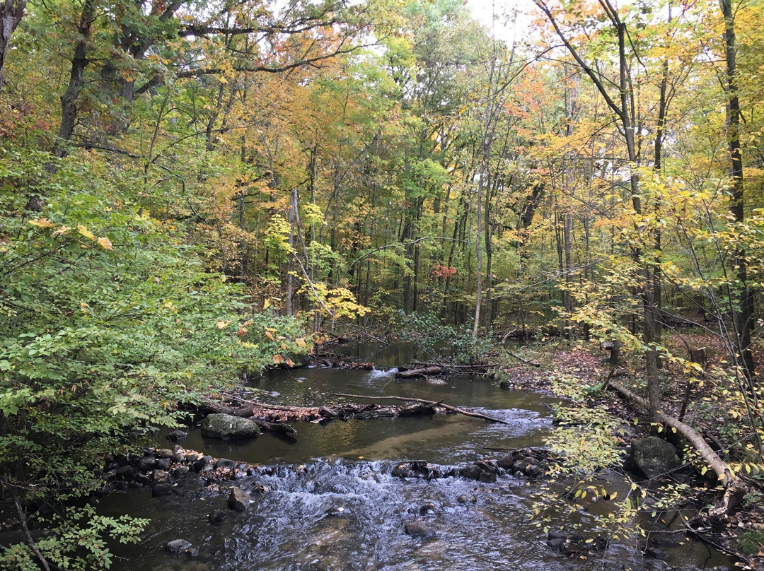 Seidman Park-Ada必去景点