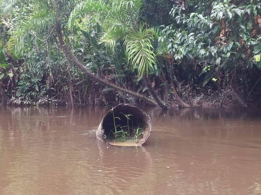 Jungle Amazone Adventure景点图片