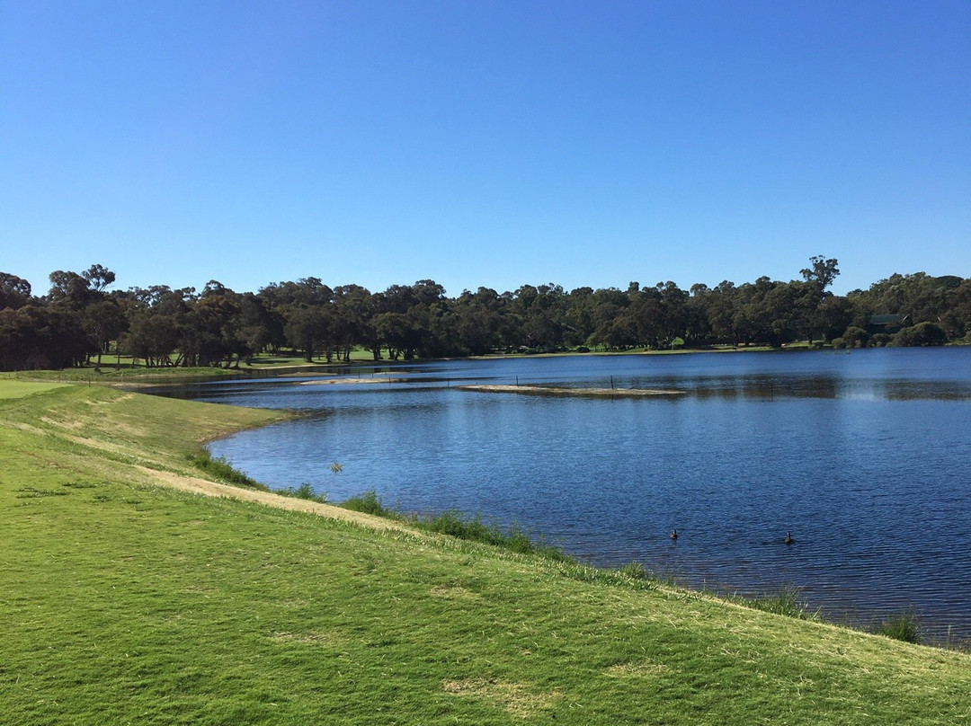 Lake Karrinyup Golf Club景点图片