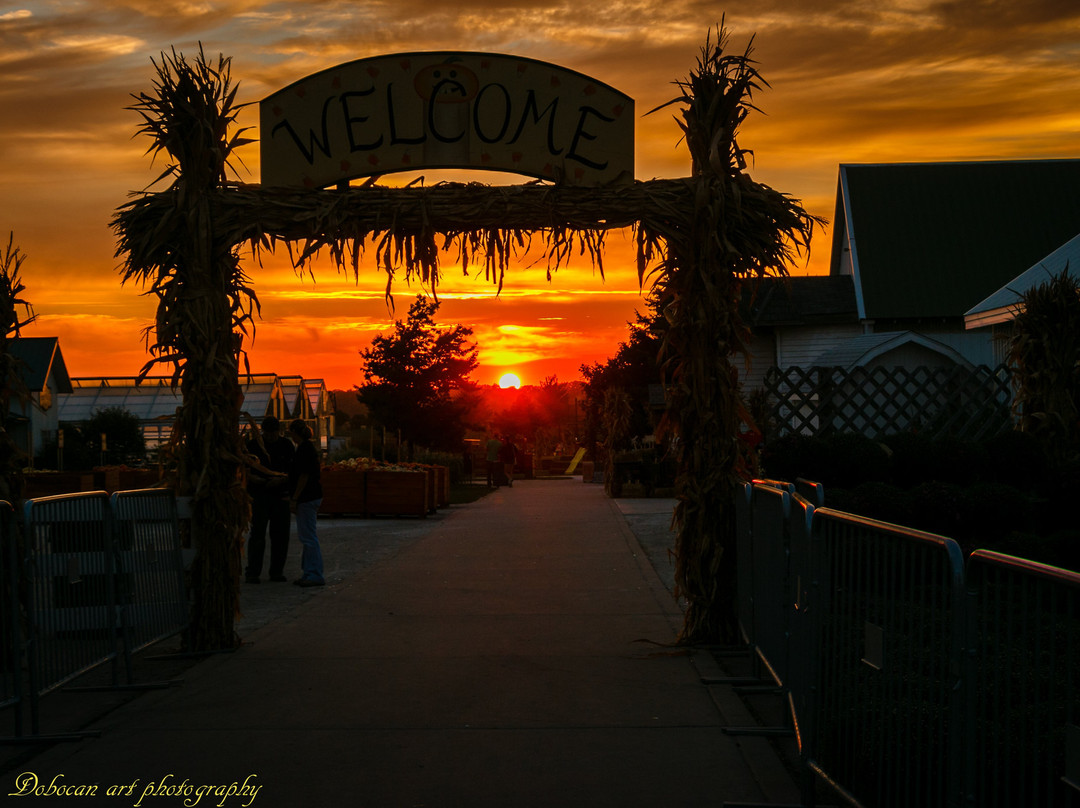 Goebbert's Farm - South Barrington-South Barrington必去景点