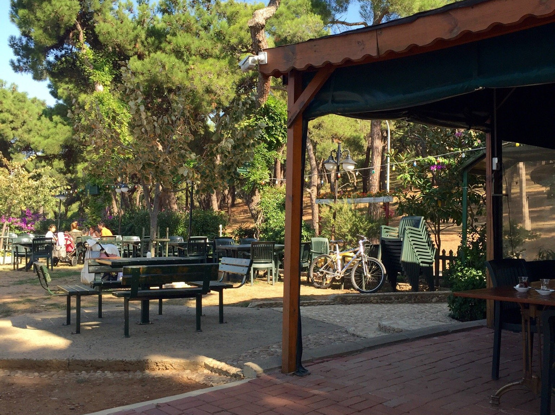 Heybeliada Değirmenburnu Restaurant