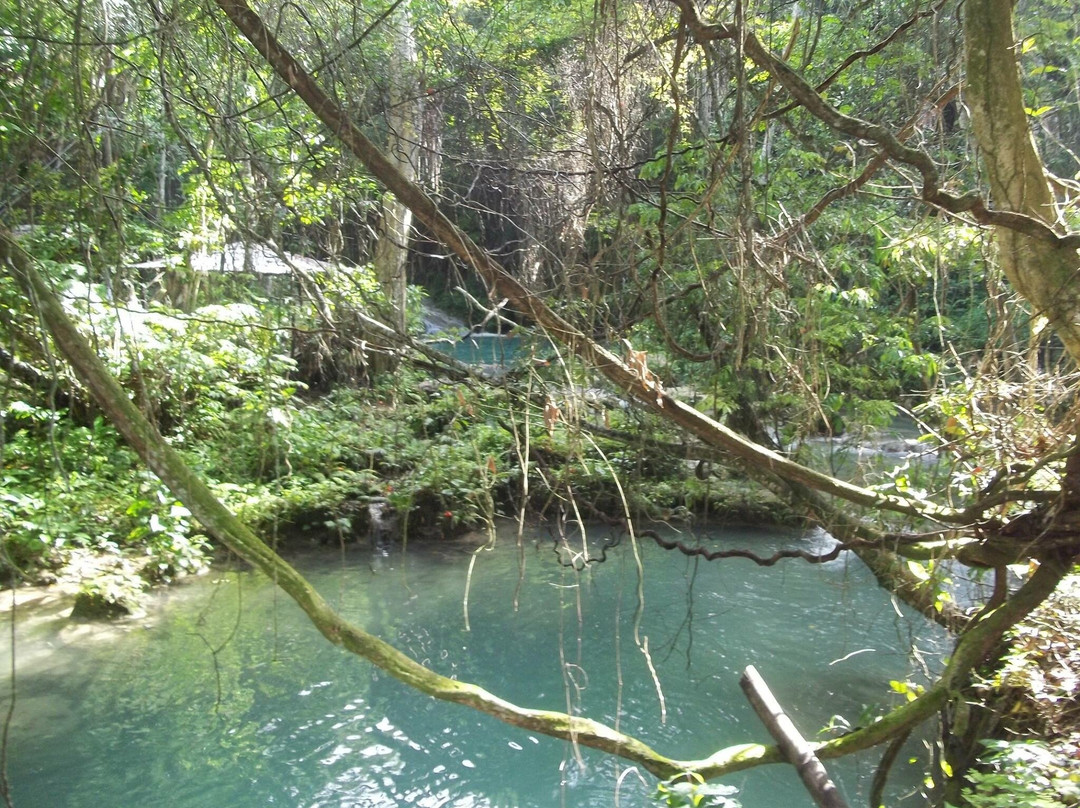Robb's Sunshine Tour & Taxi Service-逍遥海湾必去景点