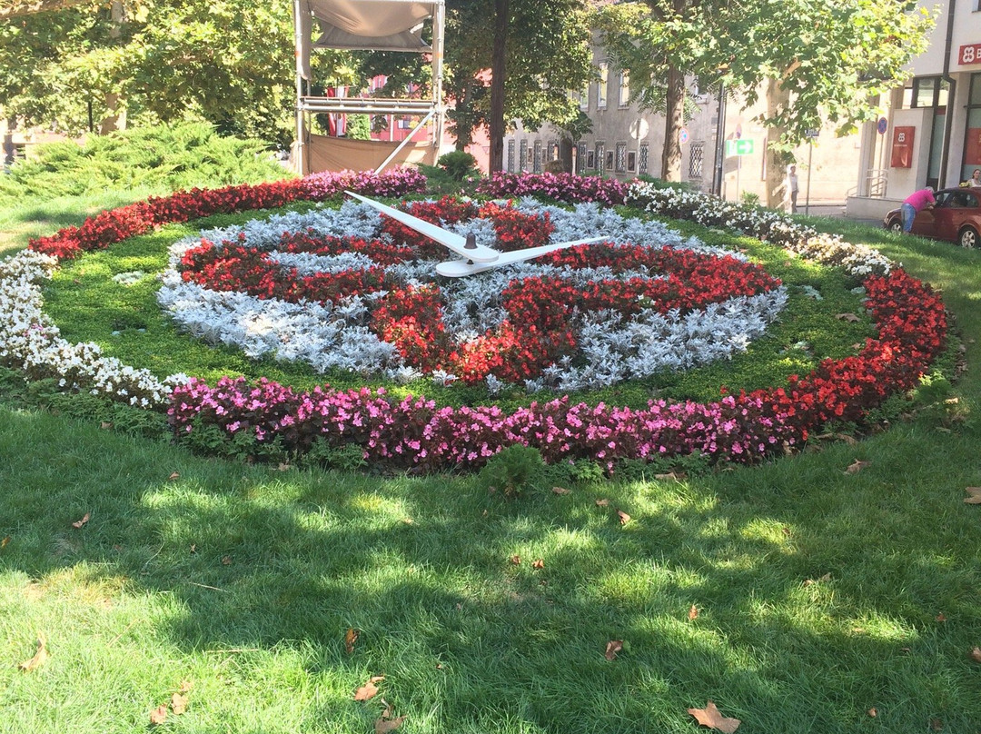 Viragora Flowerclock景点图片