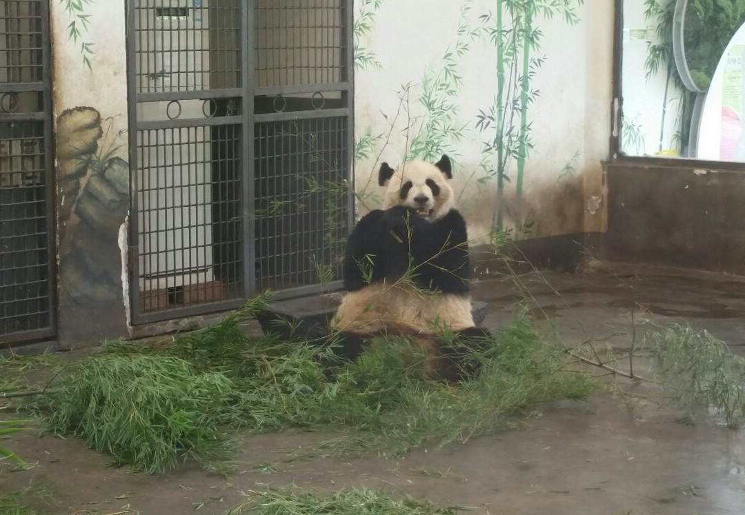 长沙生态动物园-长沙市必去景点
