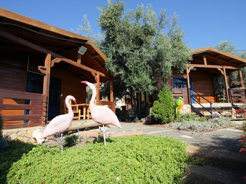 Alon's Cabins