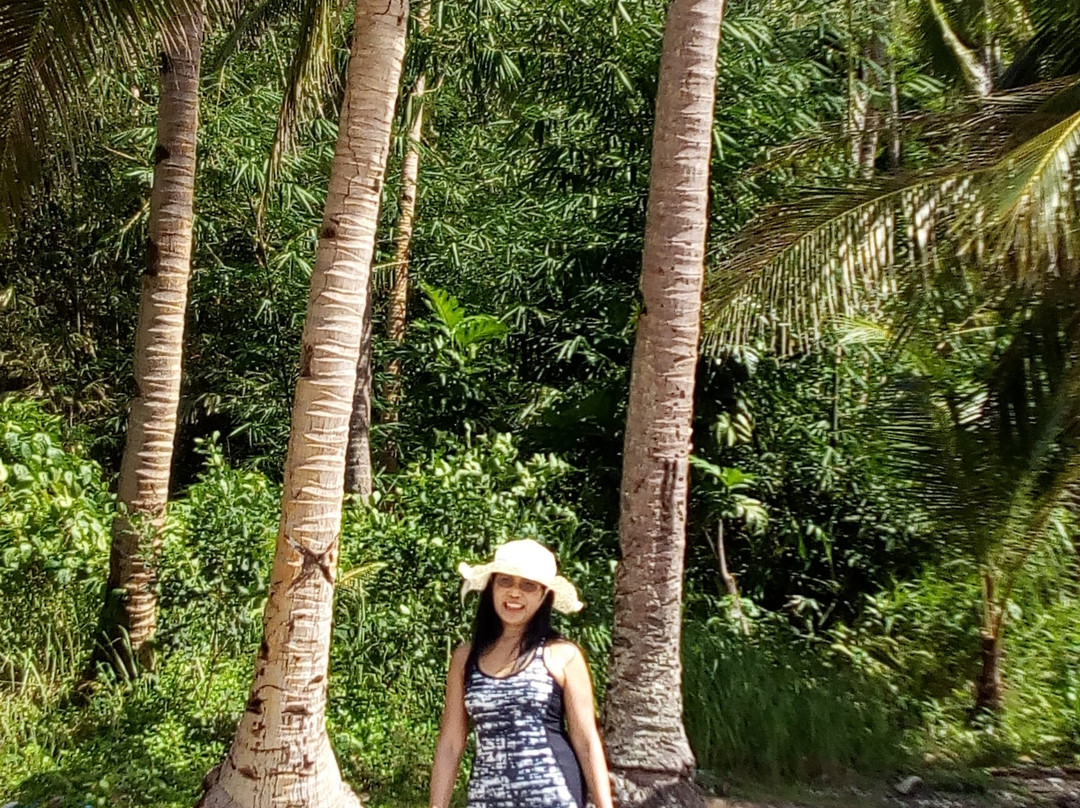 Samar Province旅游攻略图片