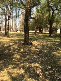 Willem Prinsloo Museum-Rayton必去景点