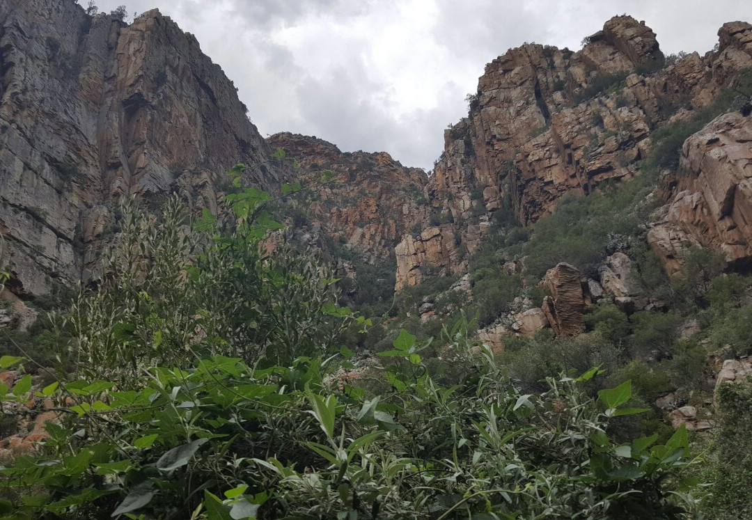 Gamkaberg Nature Reserve-West Coast National Park必去景点
