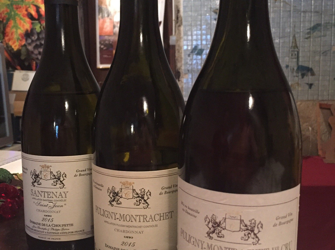 Domaine De La Choupette-Gutrin Fils景点图片