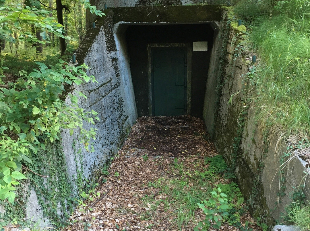 Permanent Artillery Battery-Rowy必去景点