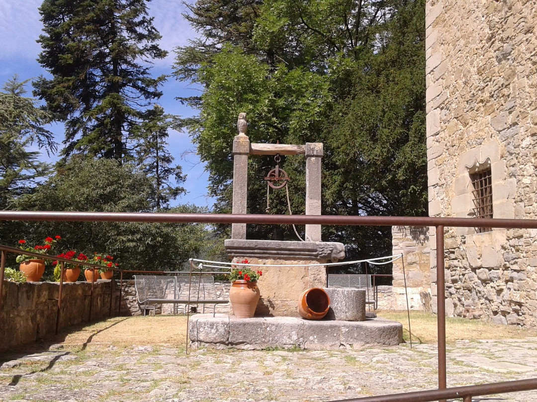 Parque Del Castillo de Montesquiu景点图片