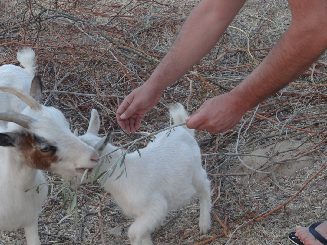 Monte da Moirana主图