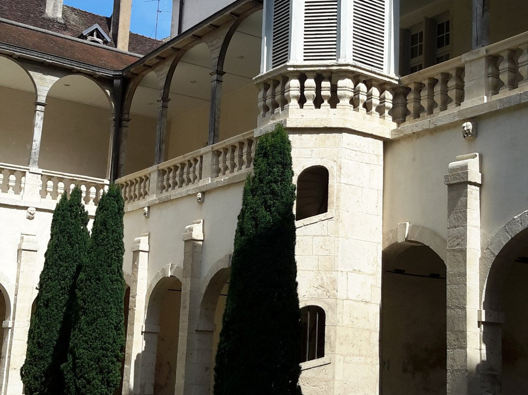 Hôtel-Dieu De Dole景点图片