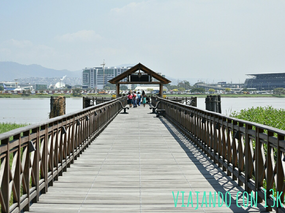 瓜亚基尔旅游攻略图片