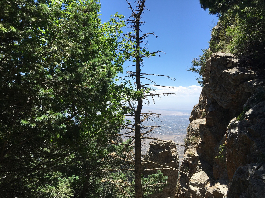 Pino Canyon-Tijeras必去景点