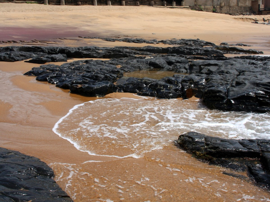 Aliwal Shoal Adventures-Umkomaas必去景点