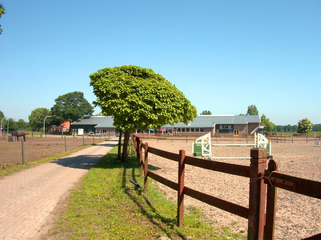 Horse Central Holland