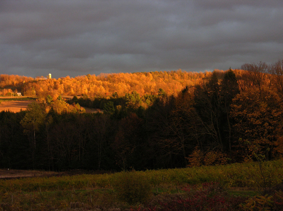 Vignoble Les Trois Clochers-Dunham必去景点