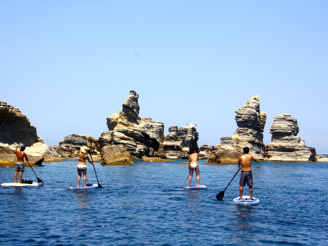Posidonia Activa Ibiza景点图片
