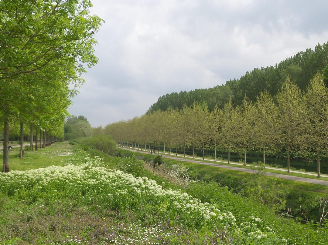 Parc du Grand Marais景点图片