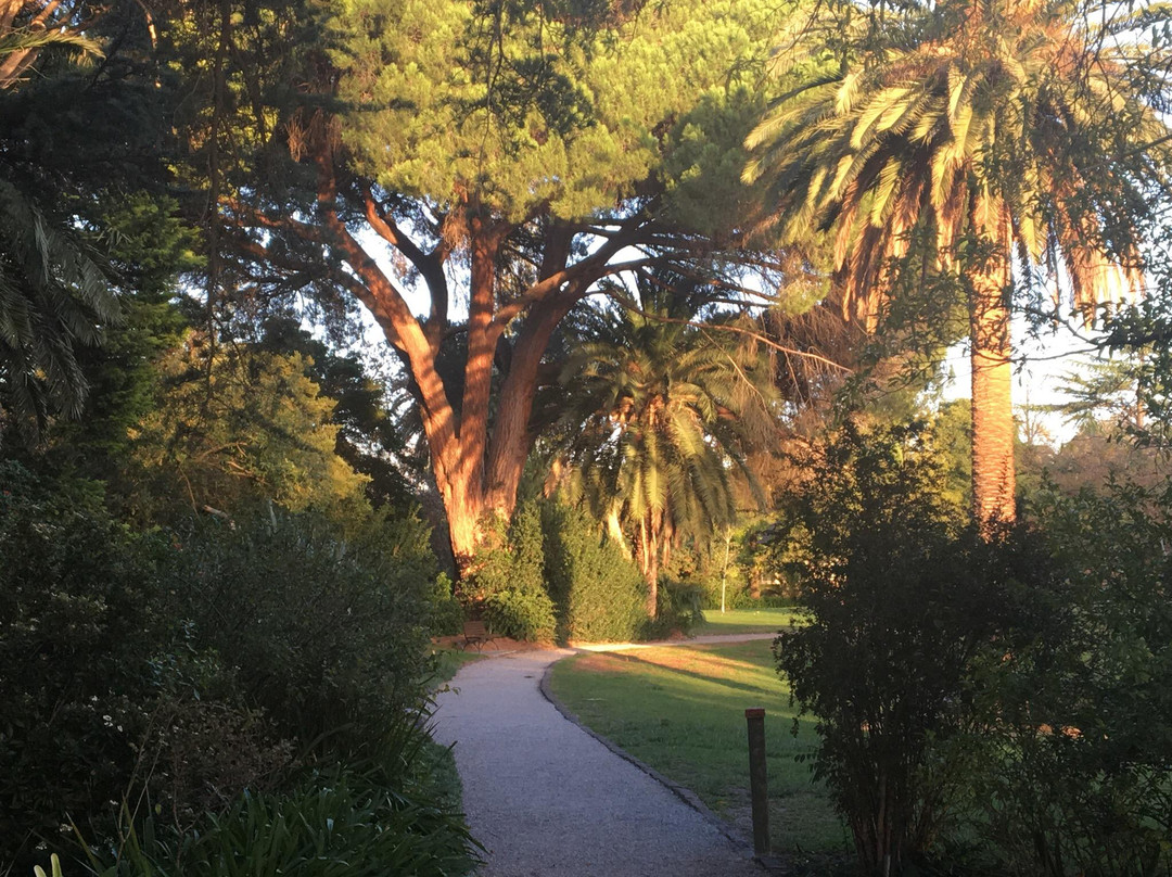 Stonnington旅游景点-Hedgeley Dene Gardens