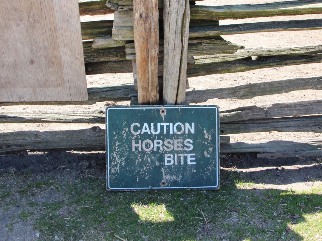 Far Enough Farm-多伦多必去景点