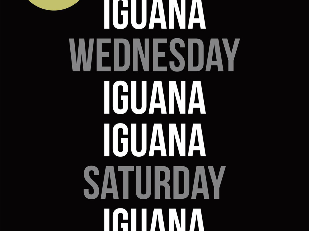 La Iguana Surf Bar景点图片