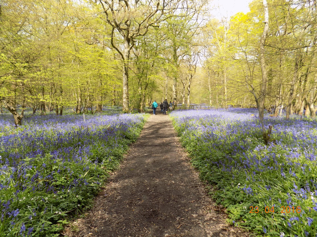 Poulton Wood Nature Reserve景点图片