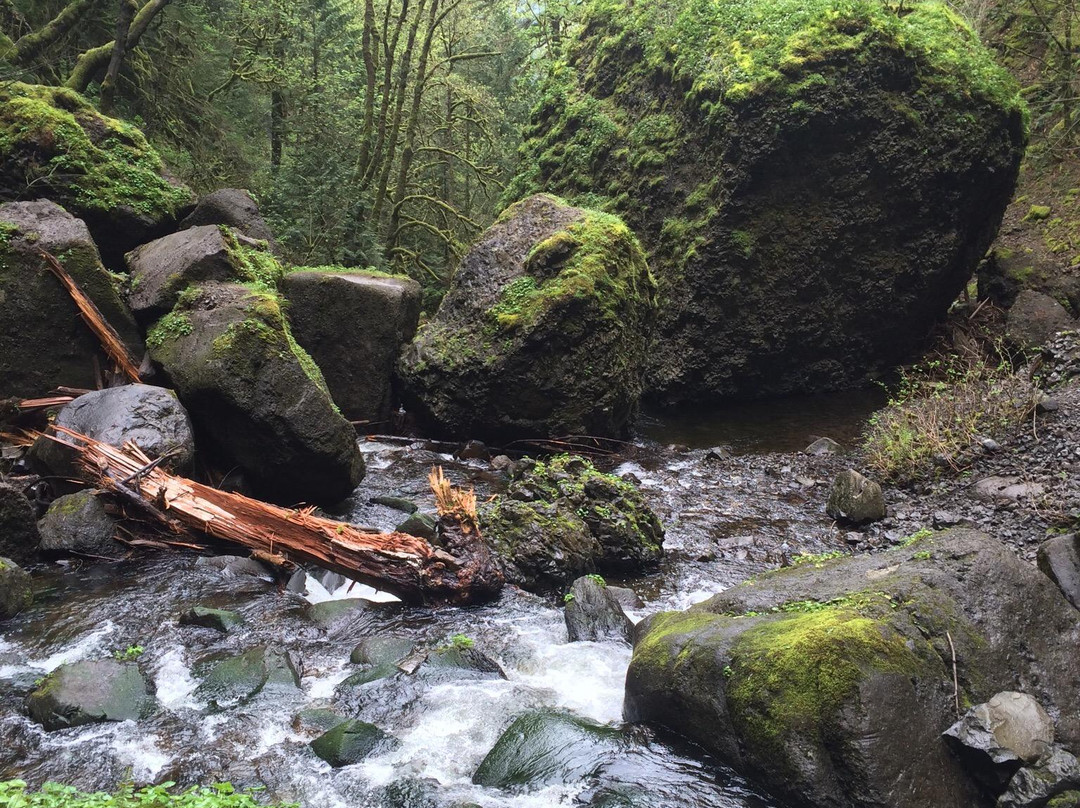 Elowah Falls-Cascade Locks必去景点