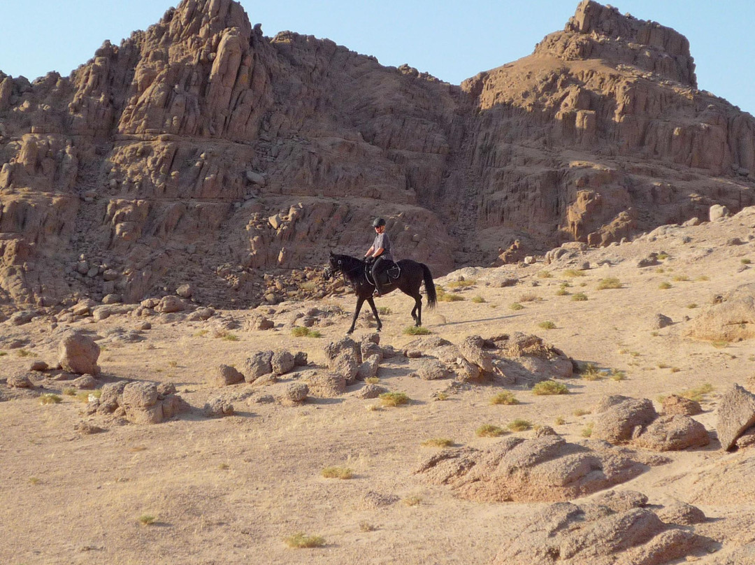 The Stable-沙姆沙伊赫必去景点