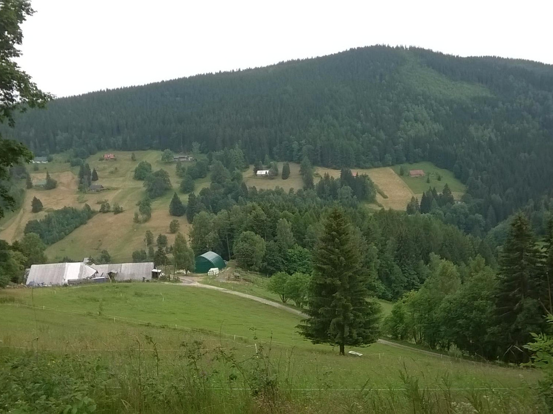 Dolni Mala Upa酒店住宿-Penzion Lion