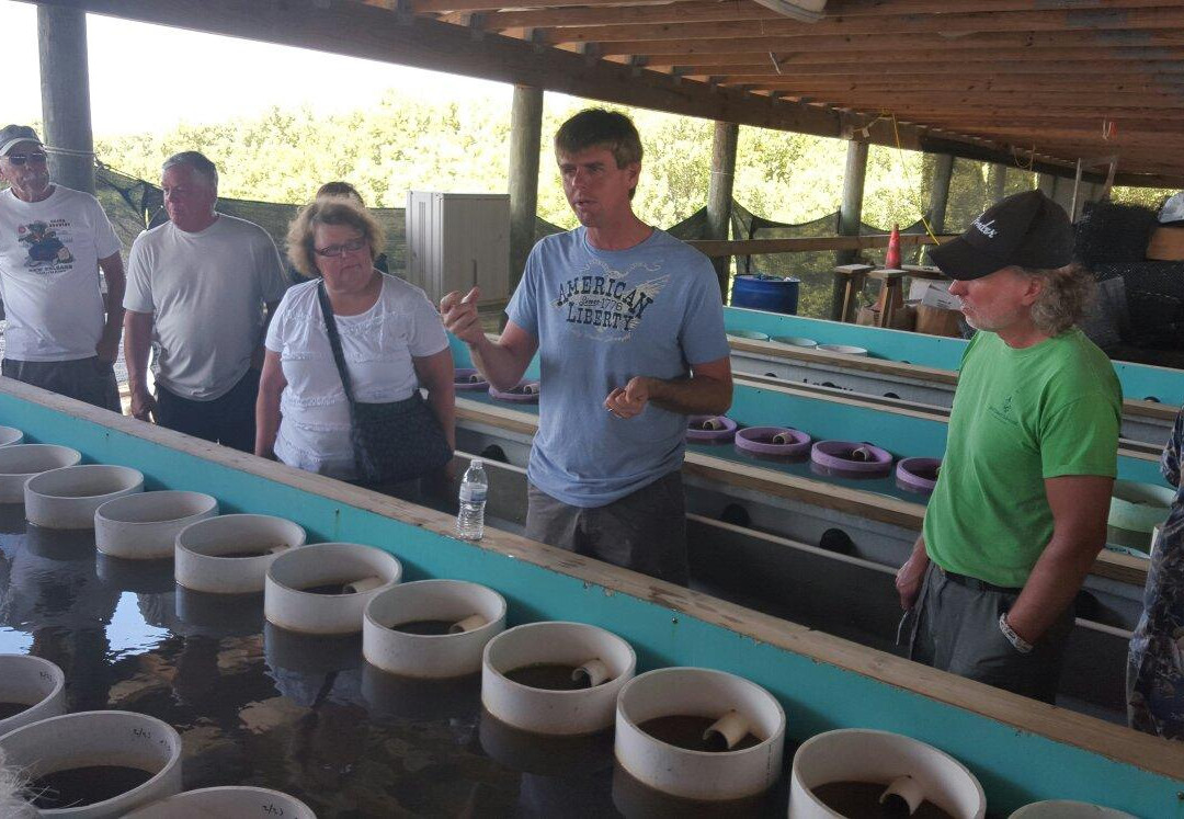 Southern Cross Sea Farms-锡达礁必去景点