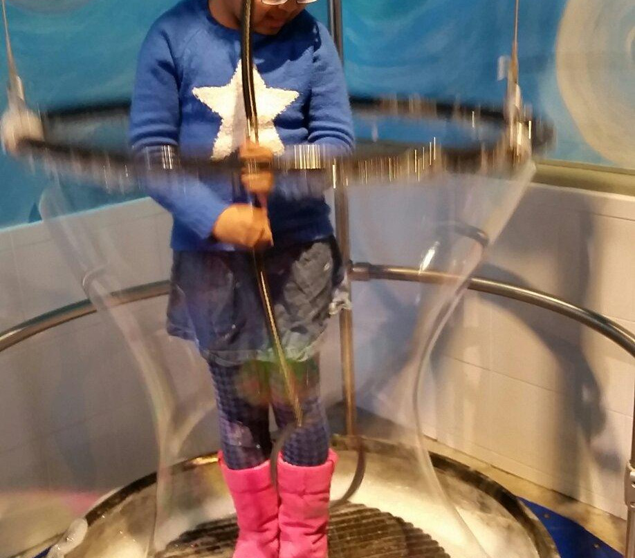 Long Island Children's Museum景点图片