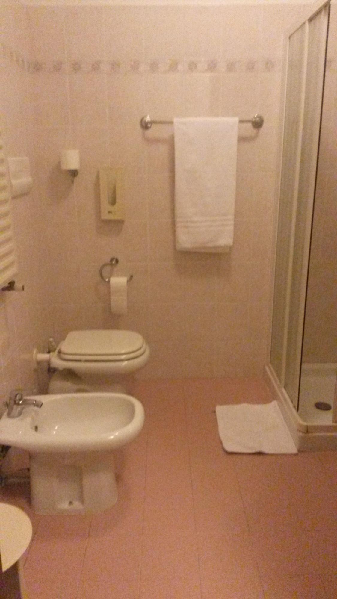 Hotel Gamma-浴室