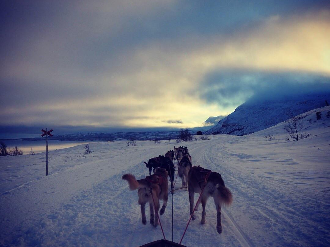 Bjorkliden Ski Resort景点图片