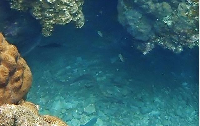 Lighthouse Bay-涛岛必去景点