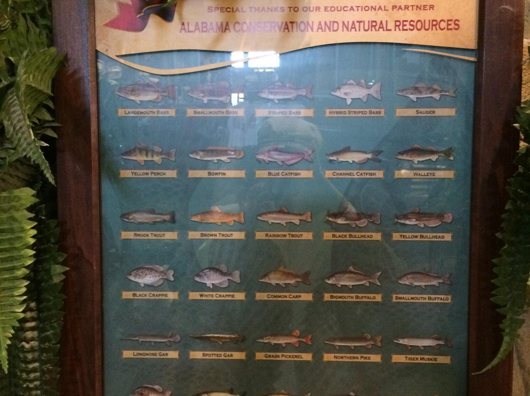 Bass Pro Shops-Spanish Fort必去景点