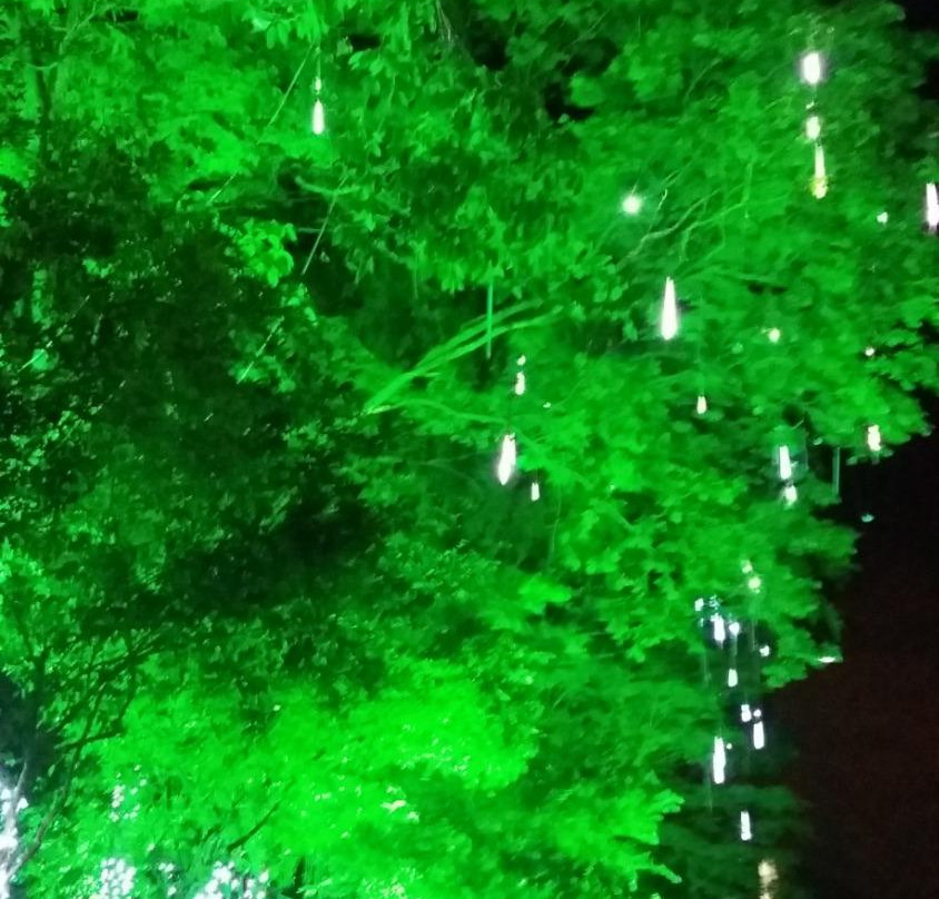 Fazenda Colubande-Sao Goncalo必去景点