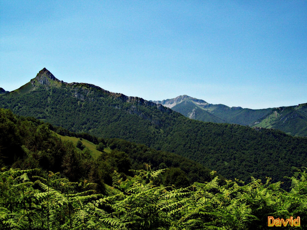 Parque Natural de Ponga景点图片