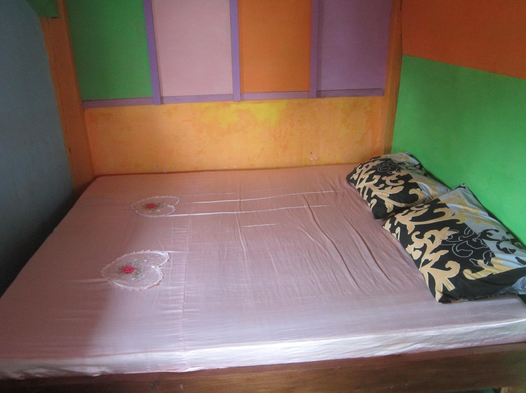 Kawah Ijen Inn主图