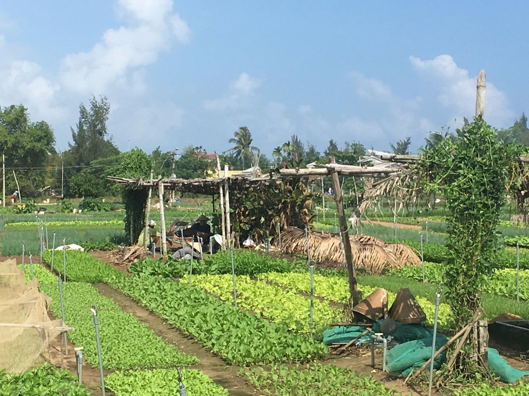 Vietnam Bike Tours-会安必去景点