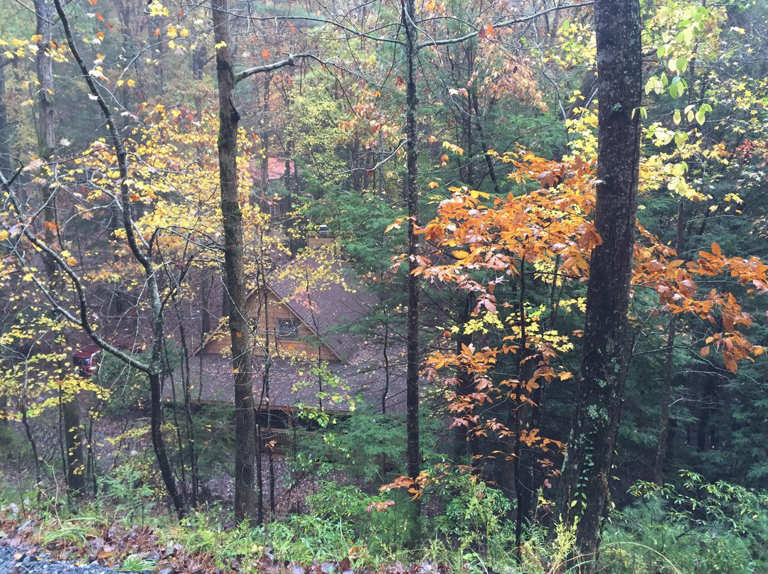 Vets Memorial Park-Ellijay必去景点