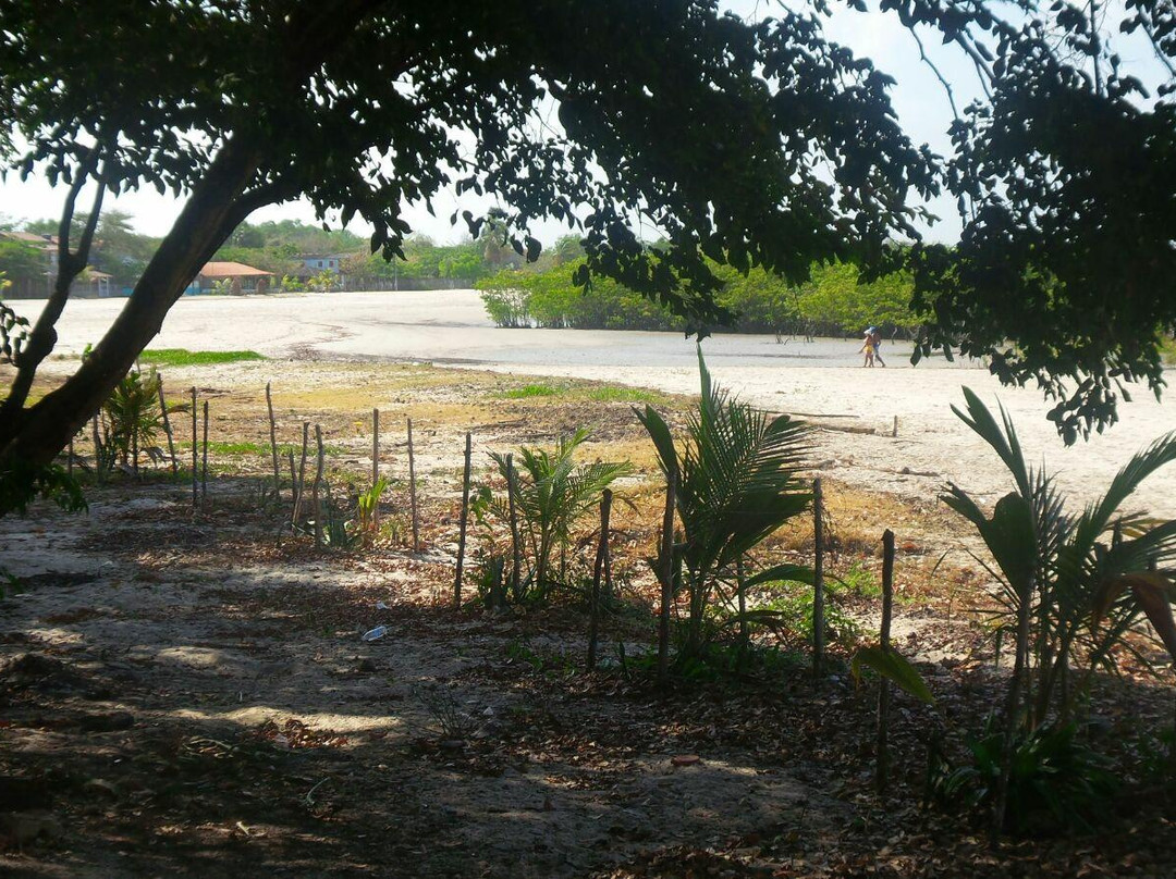 Vila do Algodoal Beach-Algodoal必去景点